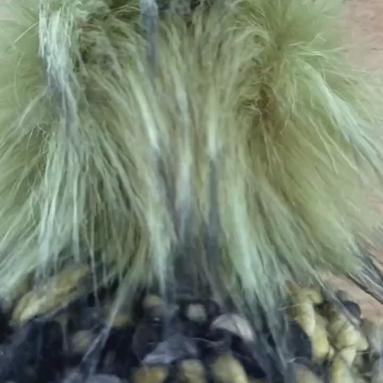 MOSS Chunky Knit Beanie