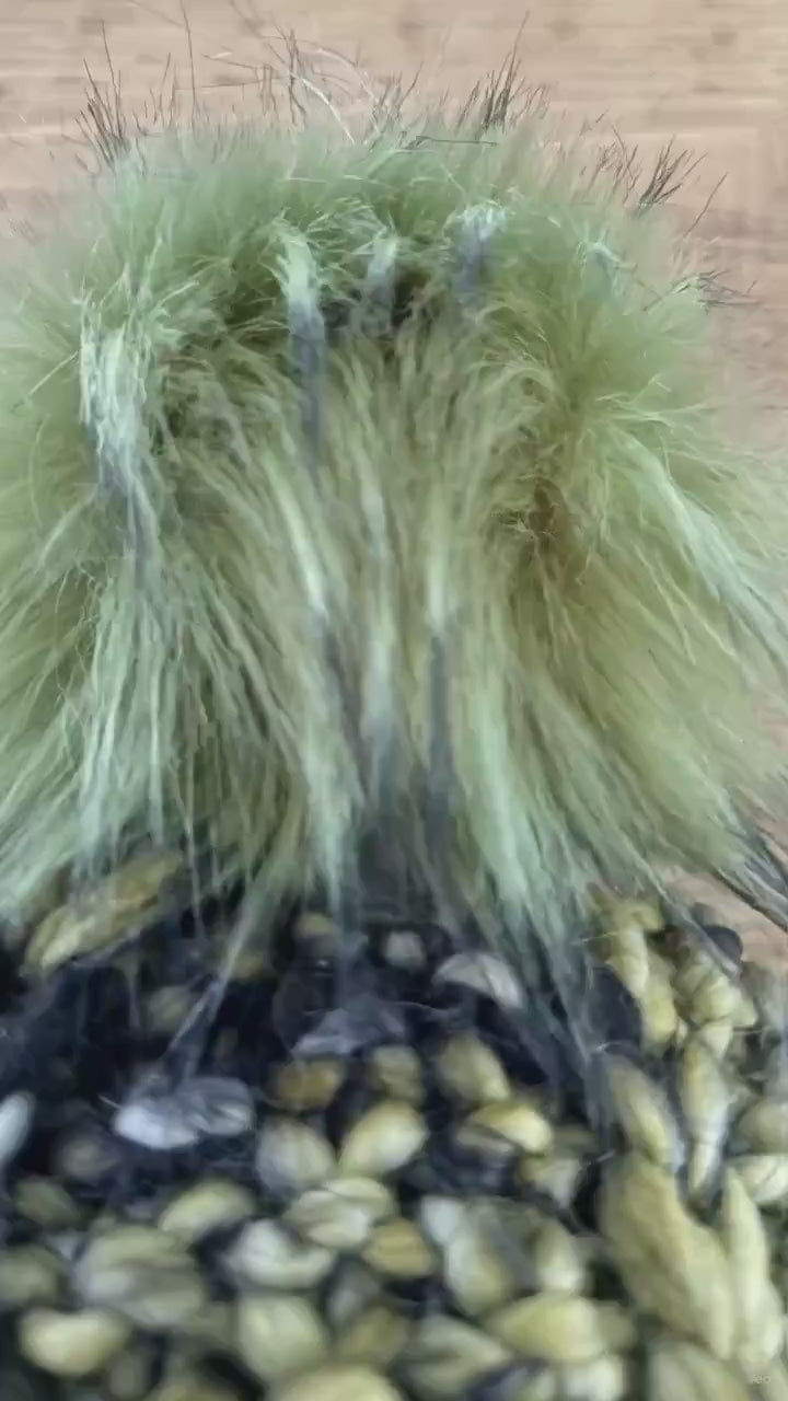 MOSS Chunky Knit Beanie